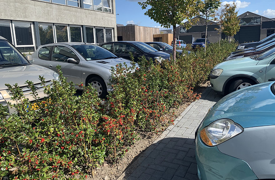 Rekentool Parkeerbehoefte Auto